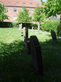 picture 00000-A2-4-1-TB-may2010.JPG