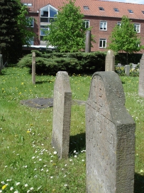 picture 00000-A7-4-1-TB-may2010.JPG