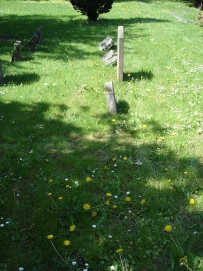 picture 00000-B1-4-1-TB-may2010.JPG