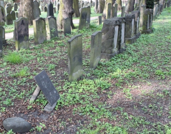 picture 00000-B11-1-1-AF-apr2011.JPG