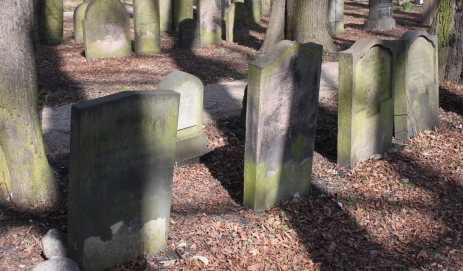 picture 00000-B12-1-1-AF-apr2011.JPG