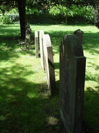 picture 00000-B4-4-1-TB-may2010.JPG