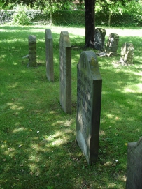 picture 00000-B5-4-1-TB-may2010.JPG