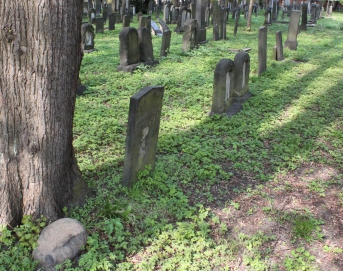 picture 00000-B6-1-1-AF-apr2011.JPG