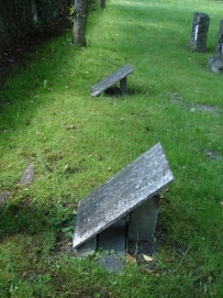 picture 00000-B7-4-1-TB-may2010.JPG