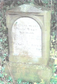 picture 00009-13-1-BS-jun2004.jpg