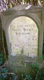 picture 00009-13-1-JP-aug2015.jpg