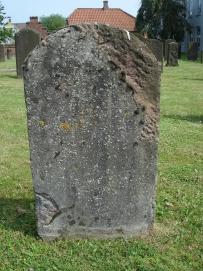 picture 00009-8-2-TB-jul2010.JPG