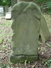 picture 00029-5-1-TB-sep2010.JPG