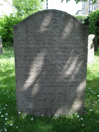 picture 00056-4-1-TB-may2010.JPG