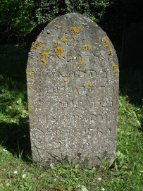 picture 00062-4-1-TB-may2010.JPG