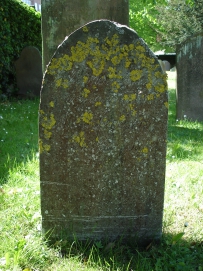 picture 00062-4-2-TB-may2010.JPG