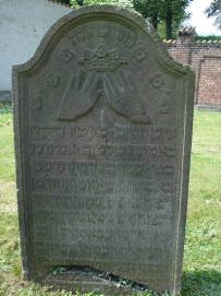 picture 00074-8-1-TB-jul2010.JPG