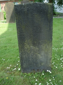 picture 00079-8-2-TB-jul2010.JPG