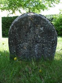 picture 00096-4-1-TB-may2010.JPG