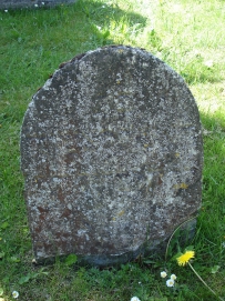 picture 00096-4-2-TB-may2010.JPG