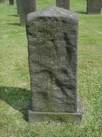 picture 00102-8-2-TB-jul2010.JPG