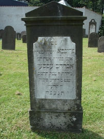 picture 00112-8-1-TB-jul2010.JPG