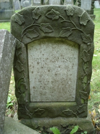 picture 00117-5-1-TB-sep2010.JPG