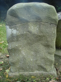 picture 00117-5-2-TB-sep2010.JPG