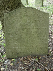 picture 00147-5-1-TB-sep2010.JPG