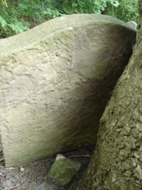 picture 00147-5-2-TB-sep2010.JPG