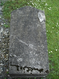 picture 00167-8-1-TB-jul2010.JPG