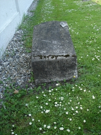 picture 00167-8-2-TB-jul2010.JPG