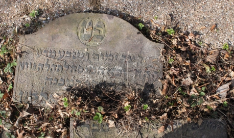 picture 00175-1-2-AF-apr2011.JPG