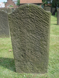 picture 00195-8-2-TB-jul2010.JPG