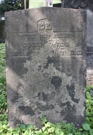 picture 00211-1-1-AF-apr2011.JPG