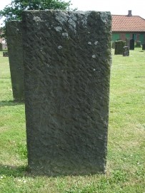 picture 00228-8-2-TB-jul2010.JPG