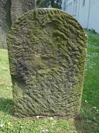 picture 00234-8-2-TB-jul2010.JPG