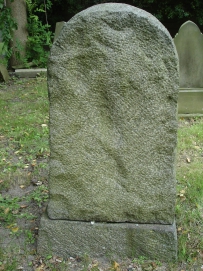 picture 00237-5-2-TB-sep2010.JPG