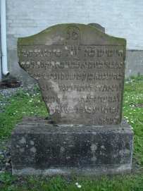 picture 00237-8-1-TB-jul2010.JPG