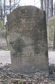 picture 00248-1-1-AF-apr2011.JPG