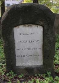 picture 00249-1-1-AF-apr2011.JPG