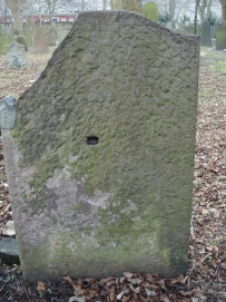 picture 00268-1-2-TB-apr2011.JPG