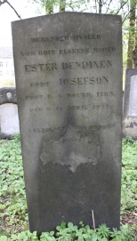 picture 00273-1-1-AF-apr2011.JPG