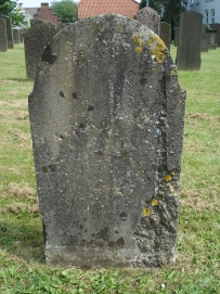 picture 00284-8-2-TB-jul2010.JPG