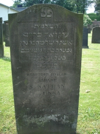 picture 00296-8-1-TB-jul2010.JPG