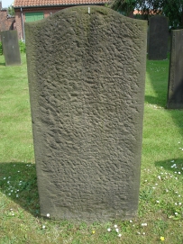 picture 00296-8-2-TB-jul2010.JPG