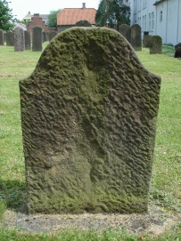 picture 00298-8-2-TB-jul2010.JPG