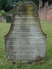 picture 00300-8-1-TB-jul2010.JPG