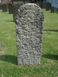 picture 00309-8-2-TB-jul2010.JPG