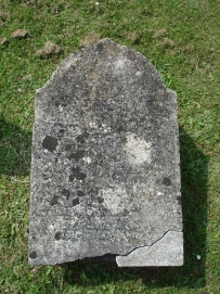 picture 00327-8-1-TB-jul2010.JPG