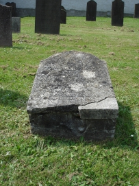 picture 00327-8-2-TB-jul2010.JPG