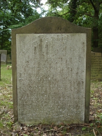 picture 00328-5-1-TB-sep2010.JPG