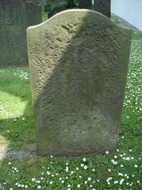 picture 00331-8-2-TB-jul2010.JPG