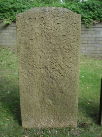 picture 00333-5-2-TB-sep2010.JPG